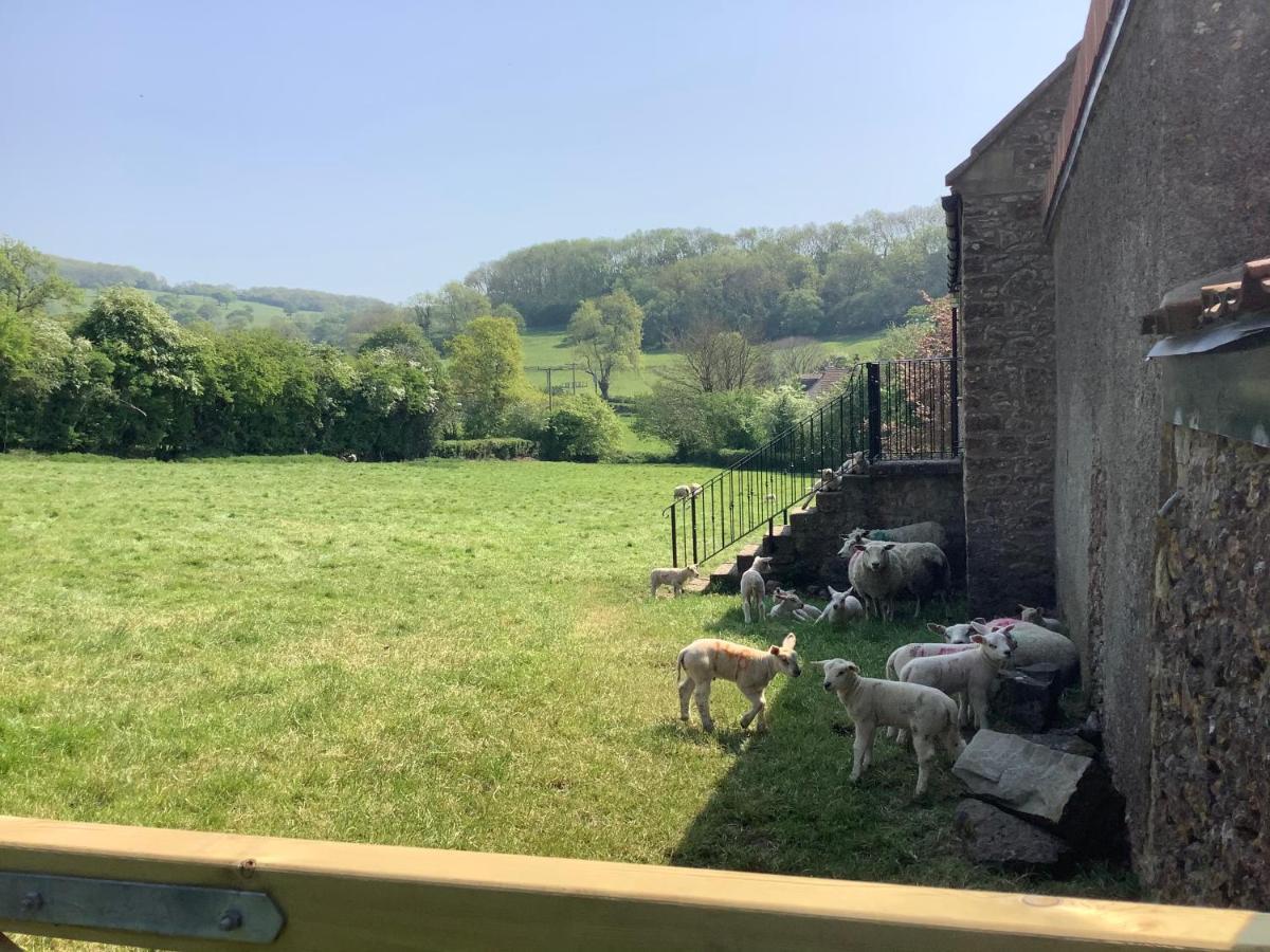 Hayloft Villa Cheddar Kültér fotó